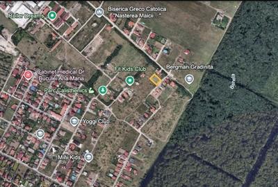 Dumbravita Teren Intravilan 1466mp Front 29m | Langa Padure - 3