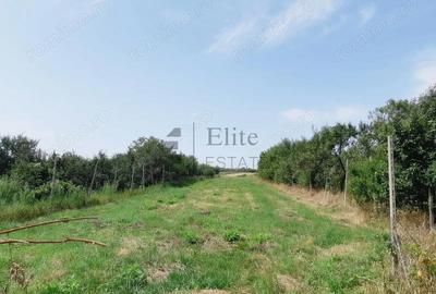 Spațiu comercial, de 180 mp, în Chijic - 14
