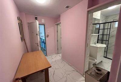 Apartament cu 2 camere semidecomandat, mobilat în Moroasa 2 - 23