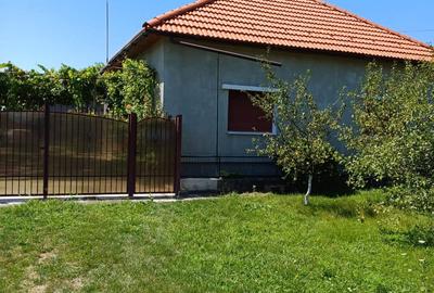 Casă cu 2 camere cu Teren 3150 Mp în Șanovița - 1