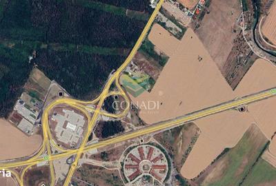 Teren de 5933 mp, în Jilava