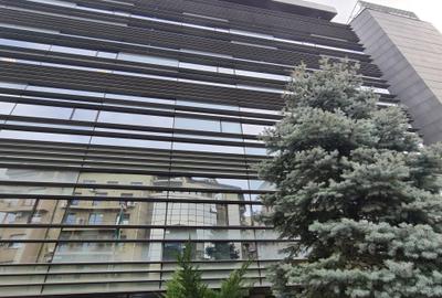 Birou, 615 mp în Kiseleff