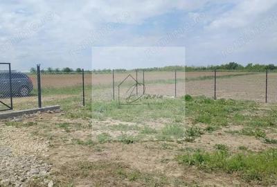 Teren intravilan 2078 mp langa padure - Piscu Ciolpani Snagov - 6