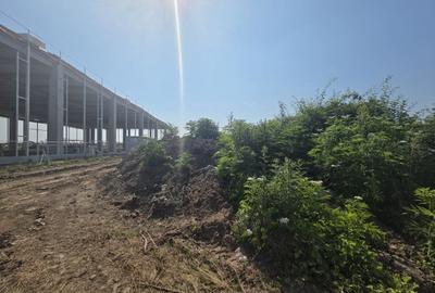 Teren Construcții intravilan de 18000 mp, în Tunari - 2