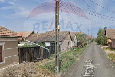 Teren curti constructii 857 mp de vanzare in Pecica , Arad - 2