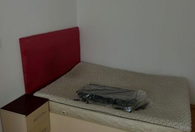Apartament cu 2 camere decomandat în Petru Rareș - 4