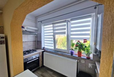 Apartament 2 camere, 52 mp, strada Paltinisului - 8