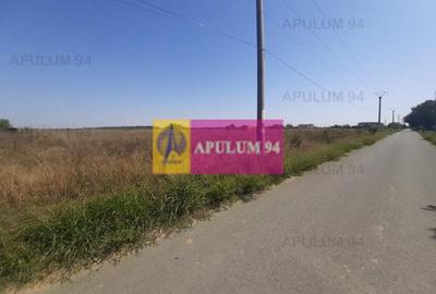Teren Construcții intravilan de 1300 mp, în 1 Decembrie - 29