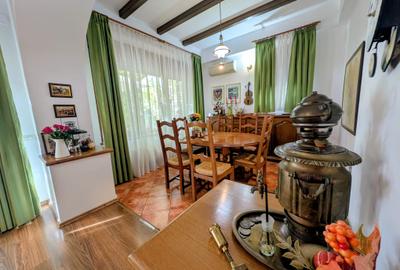 Izbiceni-Coralilor-Damaroaia,eleganta si robusta,cu garaj,curte intima,vegetatie - 14