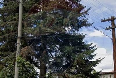 Vanzare teren dezvoltare zona Colentina, Plumbuita - vedere lac/parc - 7