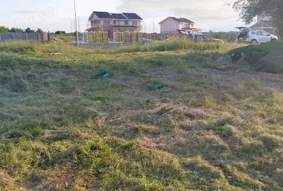 Teren de 1100 mp, în Moșnița Nouă - 1