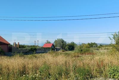 Teren intravilan si extravilan, 9500 mp, cu dubla deschider Teren intravilan si extravilan, 9500 mp, cu dubla deschider - 2