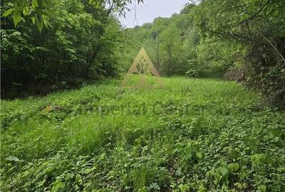 Teren de 2842 mp, în Vest - 10