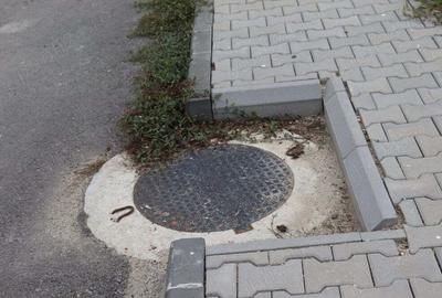 Teren de 12000 mp, în Dragomirești-Vale - 4