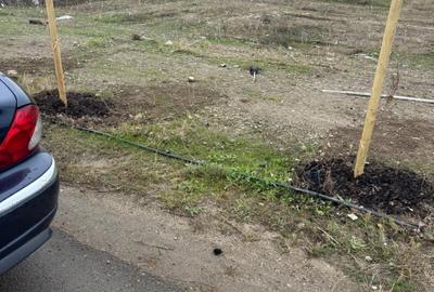 Teren Construcții intravilan de 6000 mp, în Theodor Pallady - 2