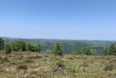 Teren de 4830 mp, în Măguri