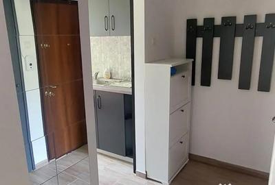 Apartament cu 2 camere semidecomandat, mobilat în Costin Georgian - 9