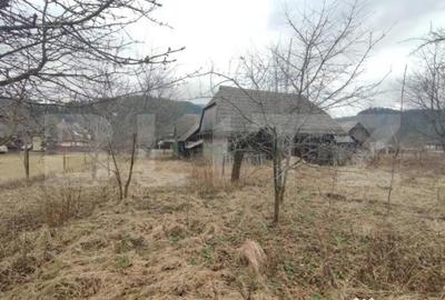 Casă cu 4 camere cu Teren 2500 Mp în Putna - 9