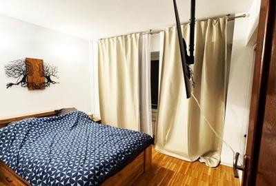 Apartament 2/3 camere Bd Octavian Goga - 10