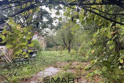 Casa 3 camere ?i gradina - 11