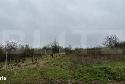 Spațiu comercial, în Coșoveni - 2