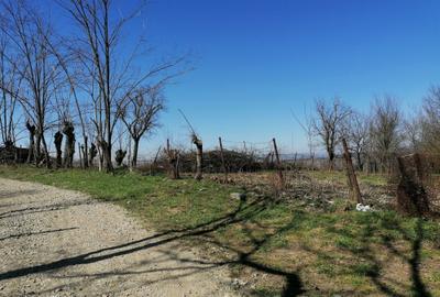 Teren de 1300 mp, în Exterior Vest - 7