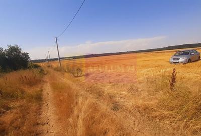 Teren pentru casa/case in Branesti pe strada Toporasi - 17