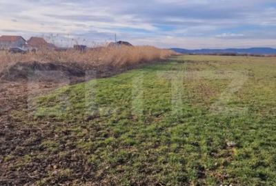 Teren de 8700 mp, în Central