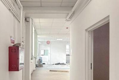 Pozitionare Centrala - Hub Office + Comercial - 5