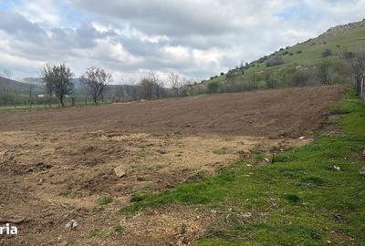 Teren de 1100 mp, în Greci - 4