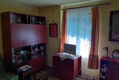 Casa 3 camere, teren 3625 mp, toate utilitatile, Sacele, Brasov - 15
