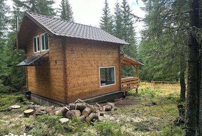 Casă cu 3 camere cu Teren 60 Mp în Băișoara - 8