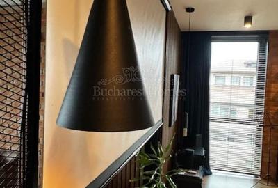 Apartament Deosebit Cu Privelisti Citadine in Bohemul Cartier Icoanei - 3