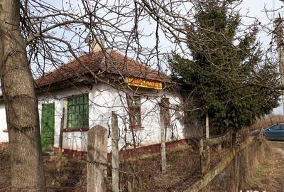 Casă cu 2 camere cu Teren 2300 Mp în Galoșpetreu - 2