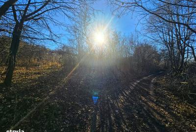 Teren de 2000 mp, în Boldești - 18