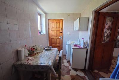 Casă individuală cu 4 camere cu Teren 3892 Mp în Baia de Criș - 13