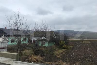 Casă cu 3 camere cu Teren 3400 Mp în Central - 6