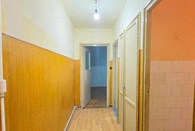 Ap 3 cam tip T de vanzare str Razboieni - 12