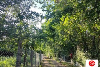 Teren intravilan 5 arii, Platoul Cornesti ,str Padurii , Targu Mures - 6