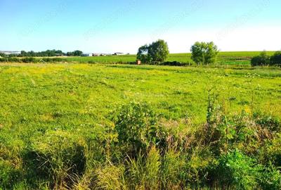 Teren de 18247 mp, în Mișca - 8