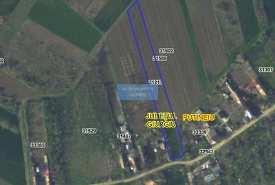 Teren intravilan 2.500 mp – Vieru, Giurgiu - 1