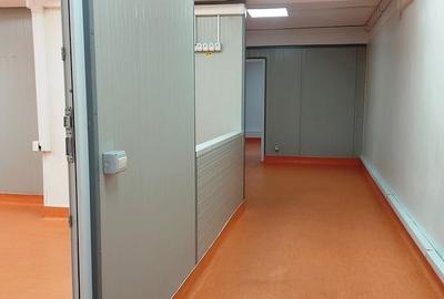 Proprietate specială, de 100 mp, în Pantelimon - 2