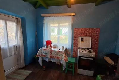 Casa batraneasca de vanzare - 5