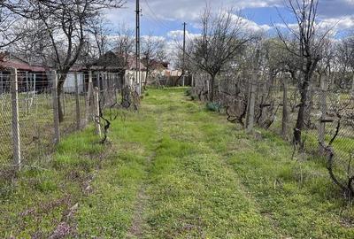 Casă cu 3 camere în Jariștea - 4