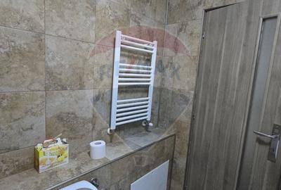 Apartament cu 2 camere de inchiriat Vivalia  zona Aurel Vlaicu - 3