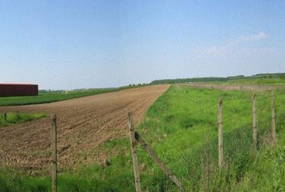 Teren Construcții intravilan de 25022 mp, în Afumați - 1