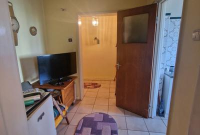 Baba Novac, Parc Ior, Mall Park Lake - 11