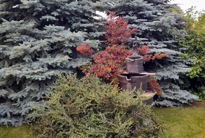 Casă cu 4 camere cu Teren 564 Mp în Pașcani - 7