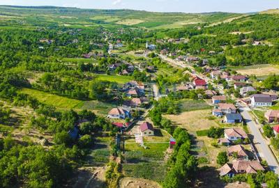 Casa cu teren de 3100 mp de vanzare in comuna Cornesti - 15