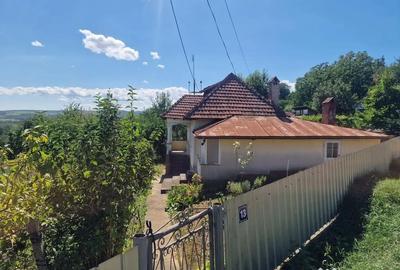 Casă cu 5 camere cu Teren 10426 Mp în Est - 17